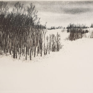 Monochromatic Print of Winter Forest on a Snowy Day